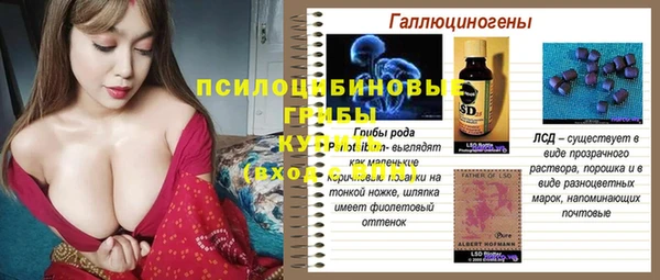 прущая мука Гусиноозёрск