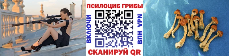 Галлюциногенные грибы Magic Shrooms  Купить  Старица 